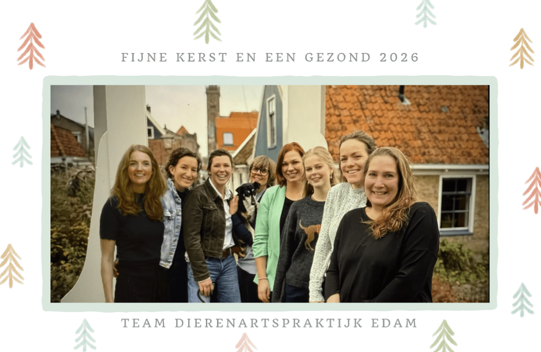 Team Dierenartspraktijk Edam - Kerst 2025